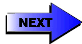 next.GIF (4900 bytes)